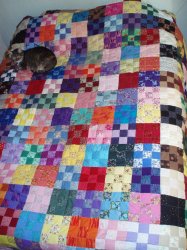 9 Patch Exchange Quilt